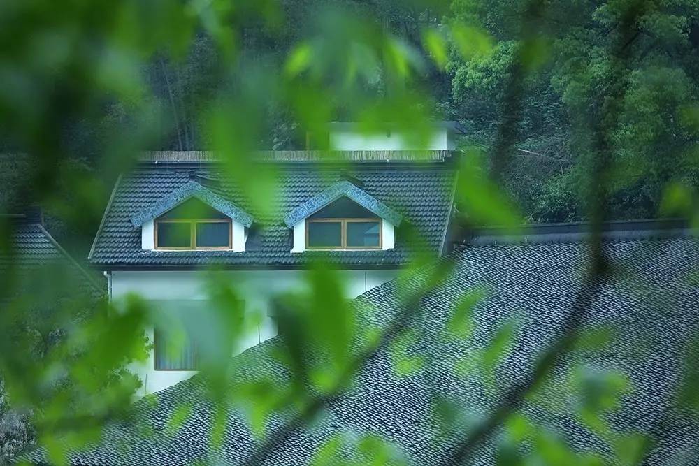 杭州山舍民宿，喝一壺茶聞桂花十里飄香