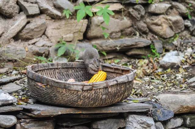 北京姥姥家民宿，聽(tīng)故事感受自在的心靈時(shí)光