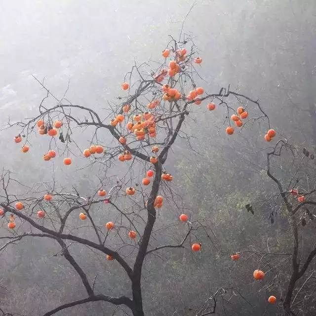 北京姥姥家民宿，聽(tīng)故事感受自在的心靈時(shí)光