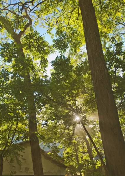 北京姥姥家民宿，聽(tīng)故事感受自在的心靈時(shí)光