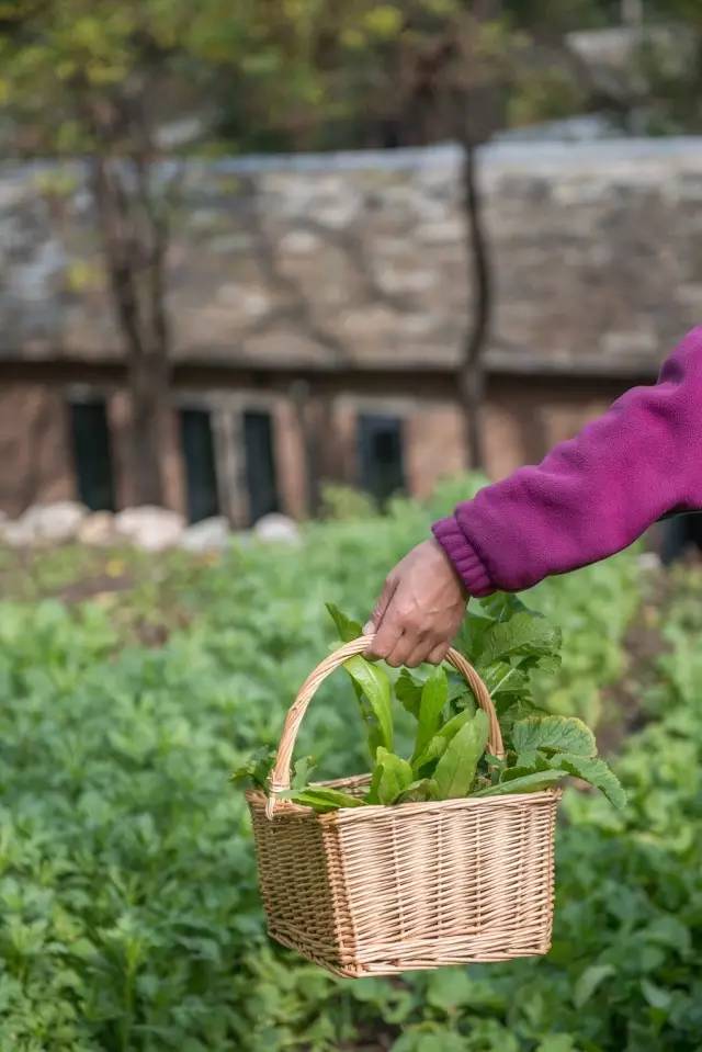 北京姥姥家民宿，聽(tīng)故事感受自在的心靈時(shí)光