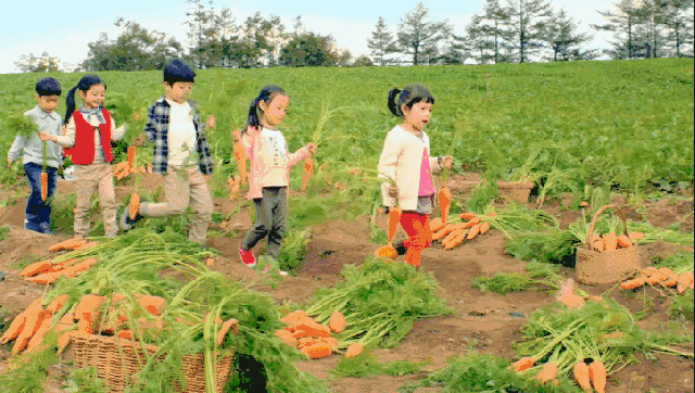 天堂山鄉(xiāng)愛樹民宿，古色古香的童話小鎮(zhèn)