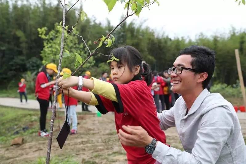 天堂山鄉(xiāng)愛樹民宿，古色古香的童話小鎮(zhèn)