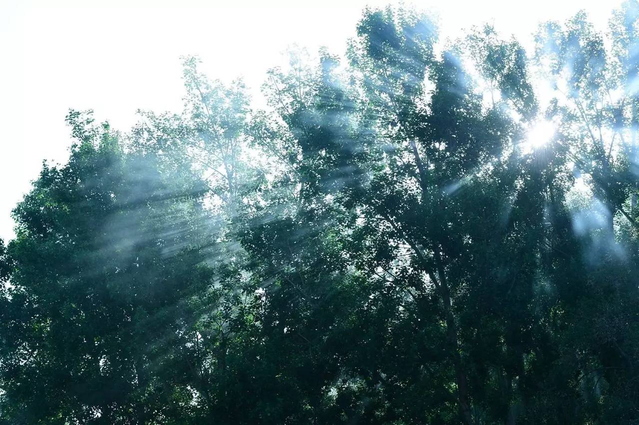 松贊拉薩曲吉林卡，用松贊的方式重走拉薩