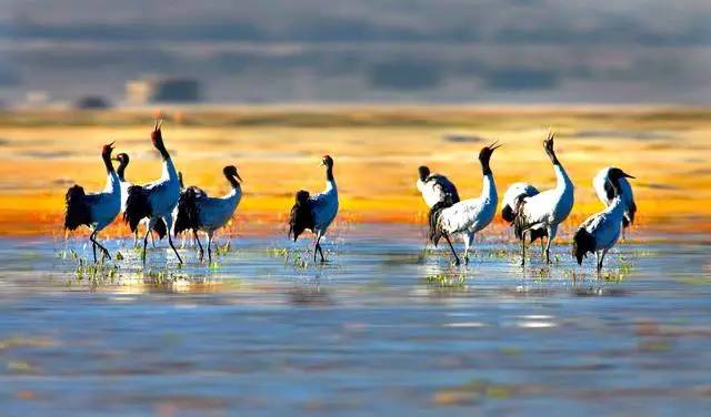 松贊拉薩曲吉林卡，用松贊的方式重走拉薩