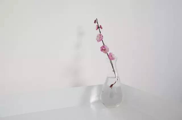 杭州一緒民宿，用鏡頭感受世間一切美好