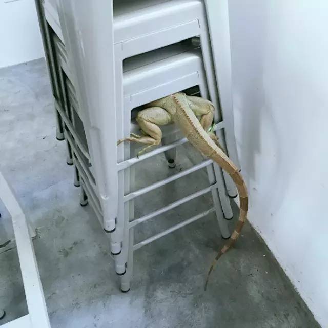 杭州一緒民宿，用鏡頭感受世間一切美好