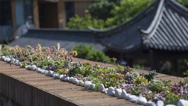融居·銀箔泉，來(lái)銀箔泉邊喝茶看蒼山洱海