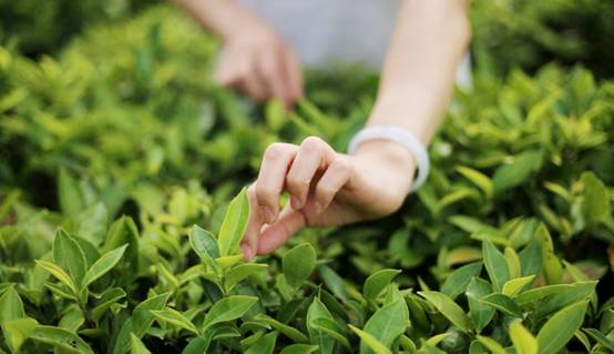 壹城一家，一座城一盞燈一個(gè)家在守候你