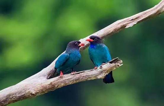 壹城一家，一座城一盞燈一個家在守候你