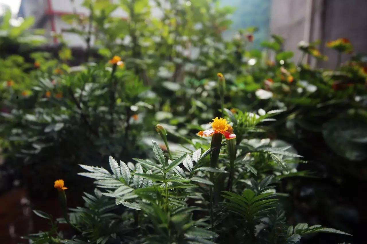 壹城一家，一座城一盞燈一個(gè)家在守候你