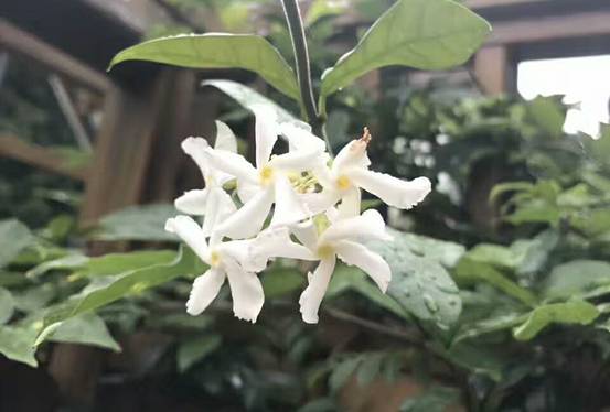 壹城一家，一座城一盞燈一個(gè)家在守候你