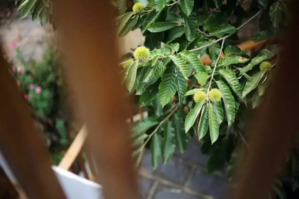 壹城一家，一座城一盞燈一個家在守候你