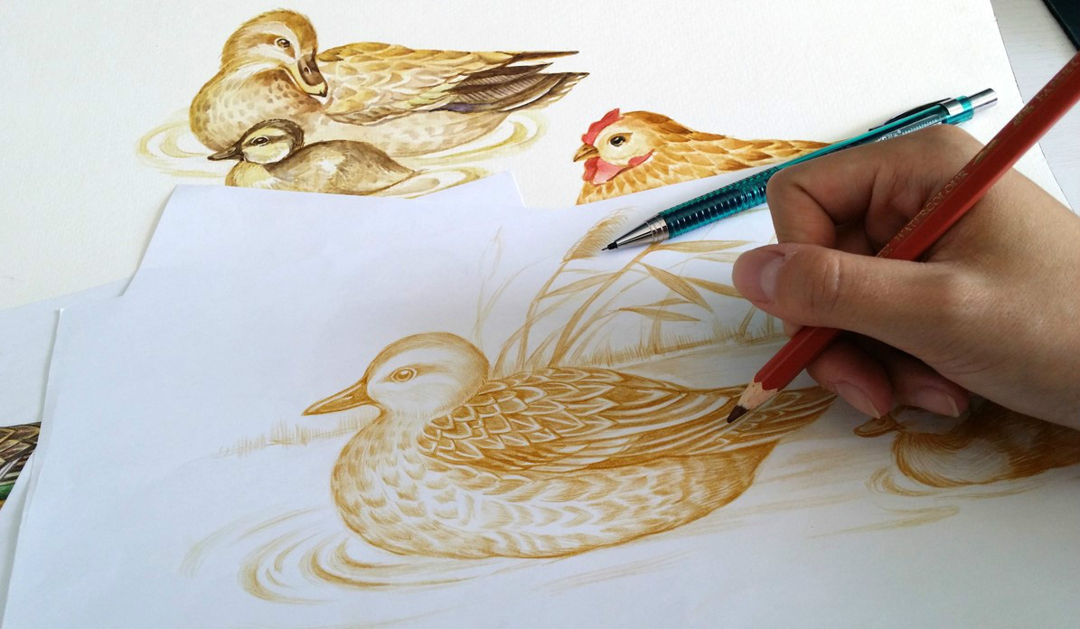 初生蛋食品包裝設(shè)計