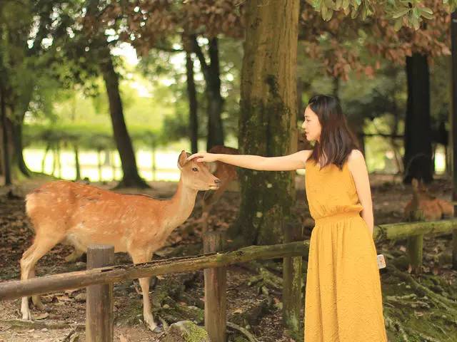 鳴林民宿，穿越千山萬水魂?duì)繅?mèng)索的只有家鄉(xiāng)