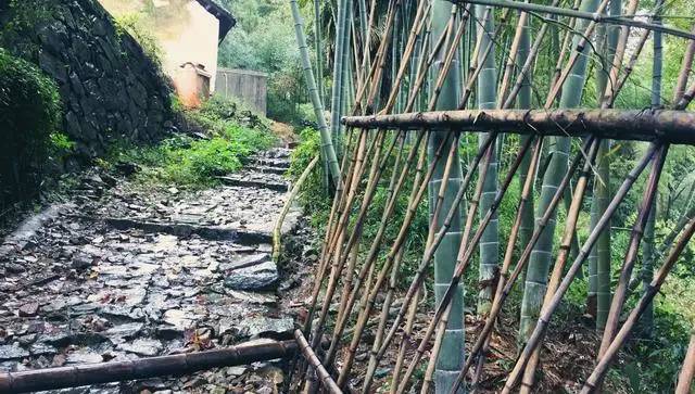 鳴林民宿，穿越千山萬水魂?duì)繅?mèng)索的只有家鄉(xiāng)