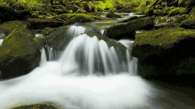 鳴林民宿，穿越千山萬水魂?duì)繅?mèng)索的只有家鄉(xiāng)