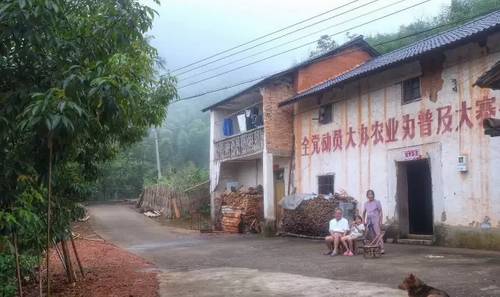 桐廬山中傳奇艾弗德堡藝社，打造一個(gè)藝術(shù)村落