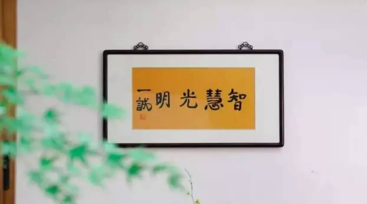 養(yǎng)智香鋪，沉香的功效與作用