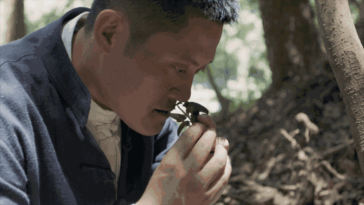 養(yǎng)智香鋪，沉香的功效與作用