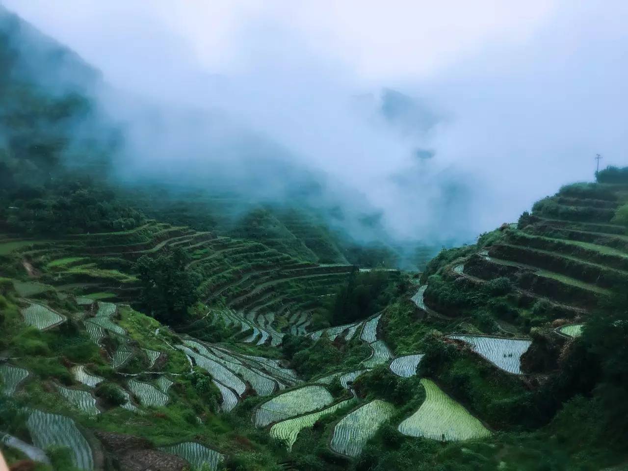 如隱·小佐居，半入溪水半入云