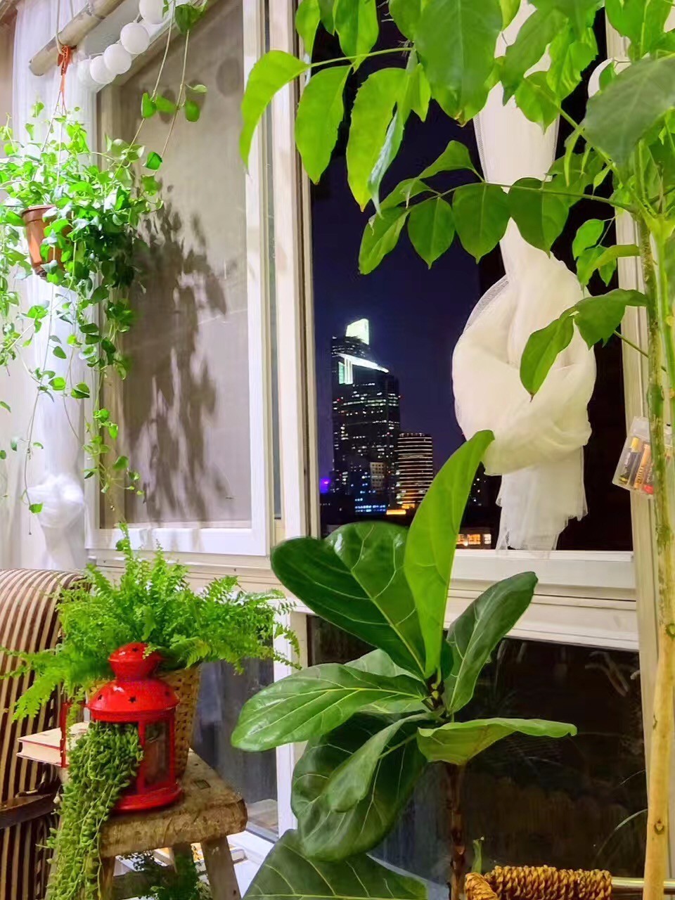 信宿·湖隱一號(hào)，在市井里大隱隱于市