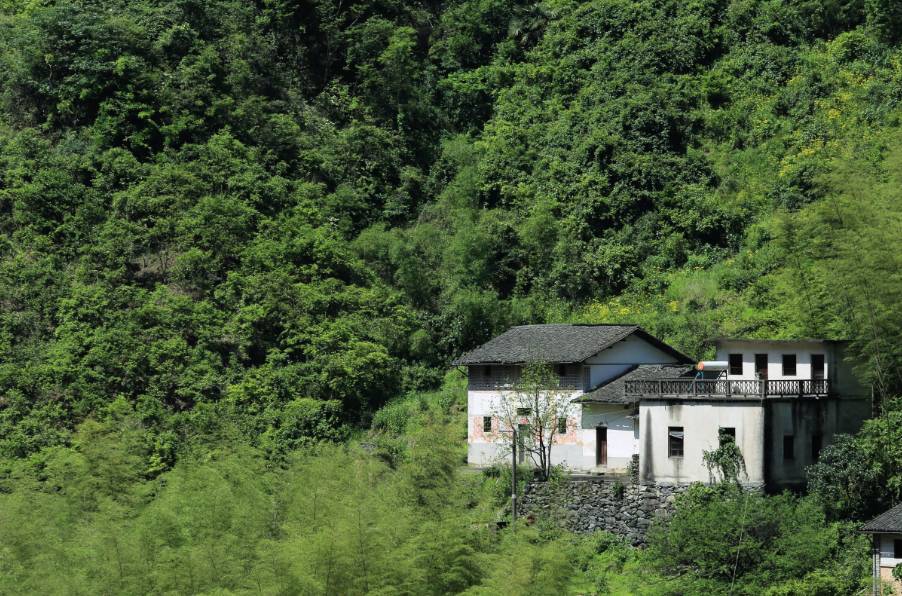 黃山云上民宿，看云卷云舒留住淳樸田園生活