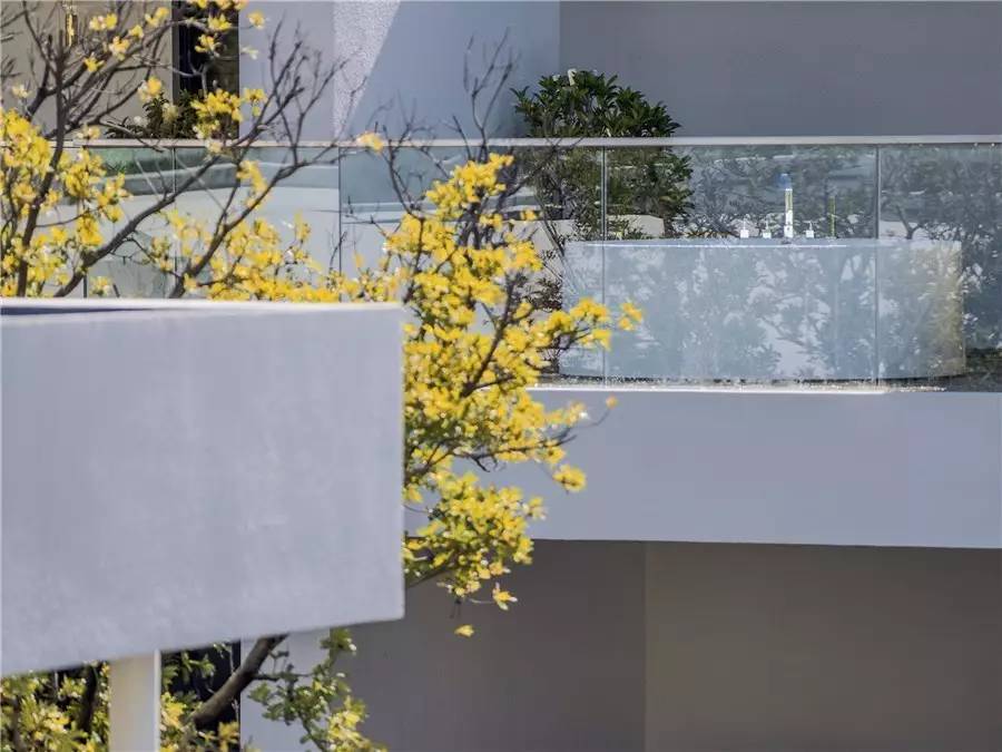 雪山莊園，只是天堂下降了一點點