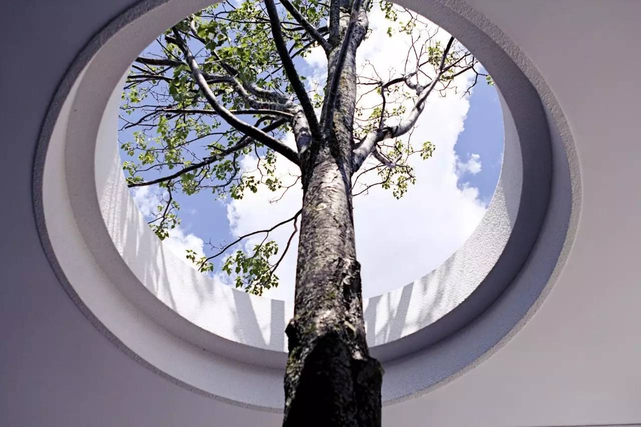 雪山莊園，只是天堂下降了一點點