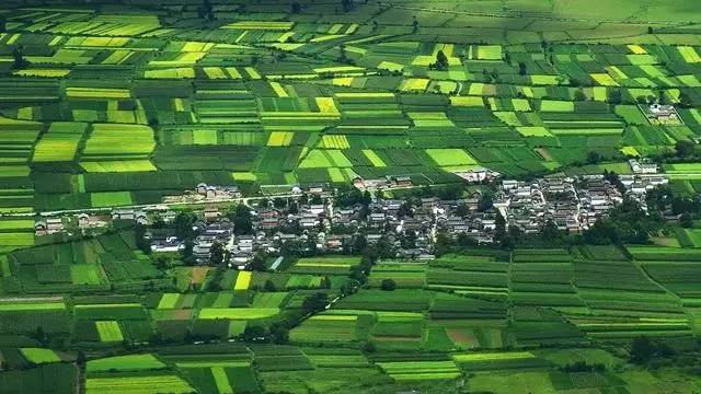 雪山莊園，只是天堂下降了一點(diǎn)點(diǎn)