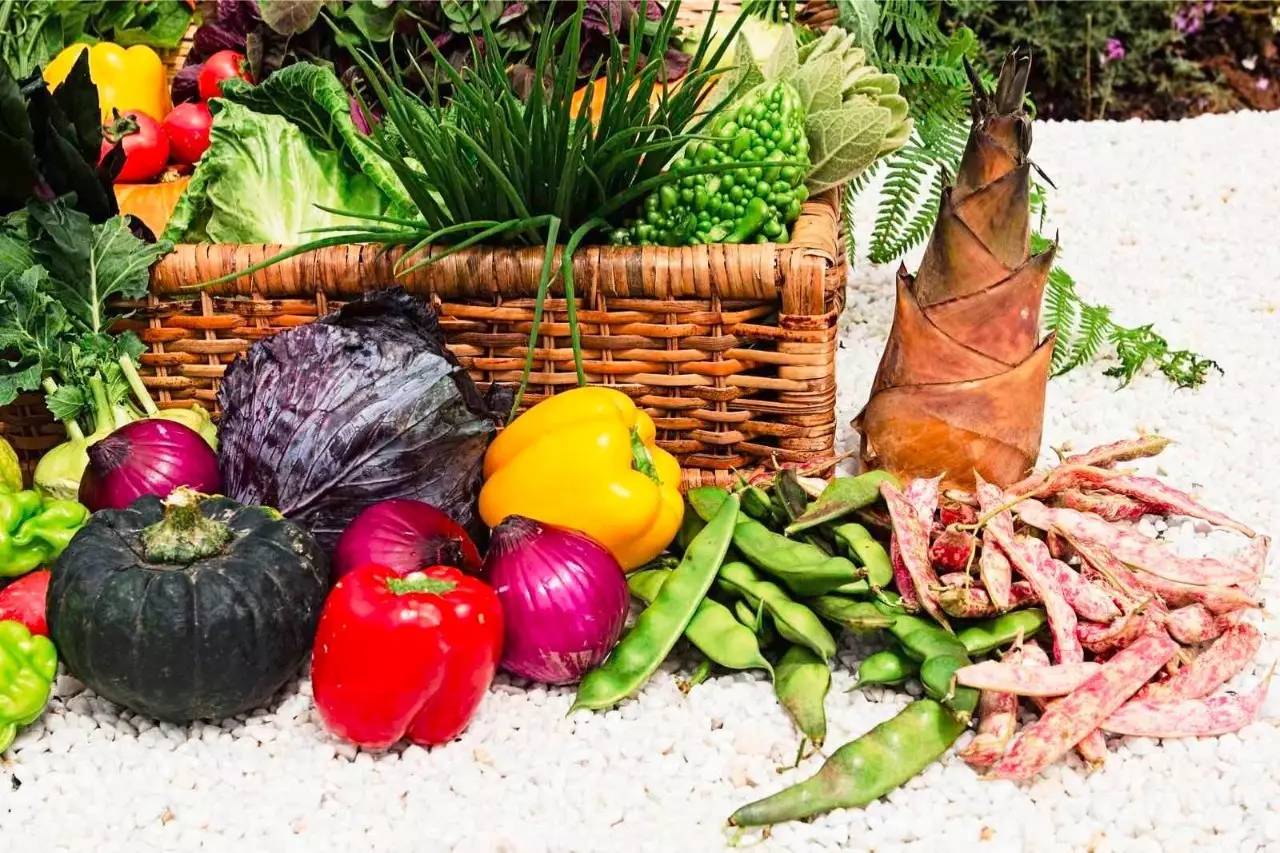 雪山莊園，只是天堂下降了一點點