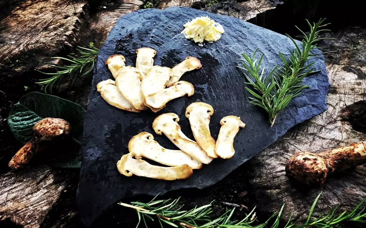 雪山莊園，只是天堂下降了一點(diǎn)點(diǎn)