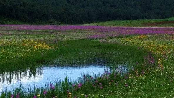 雪山莊園，只是天堂下降了一點點