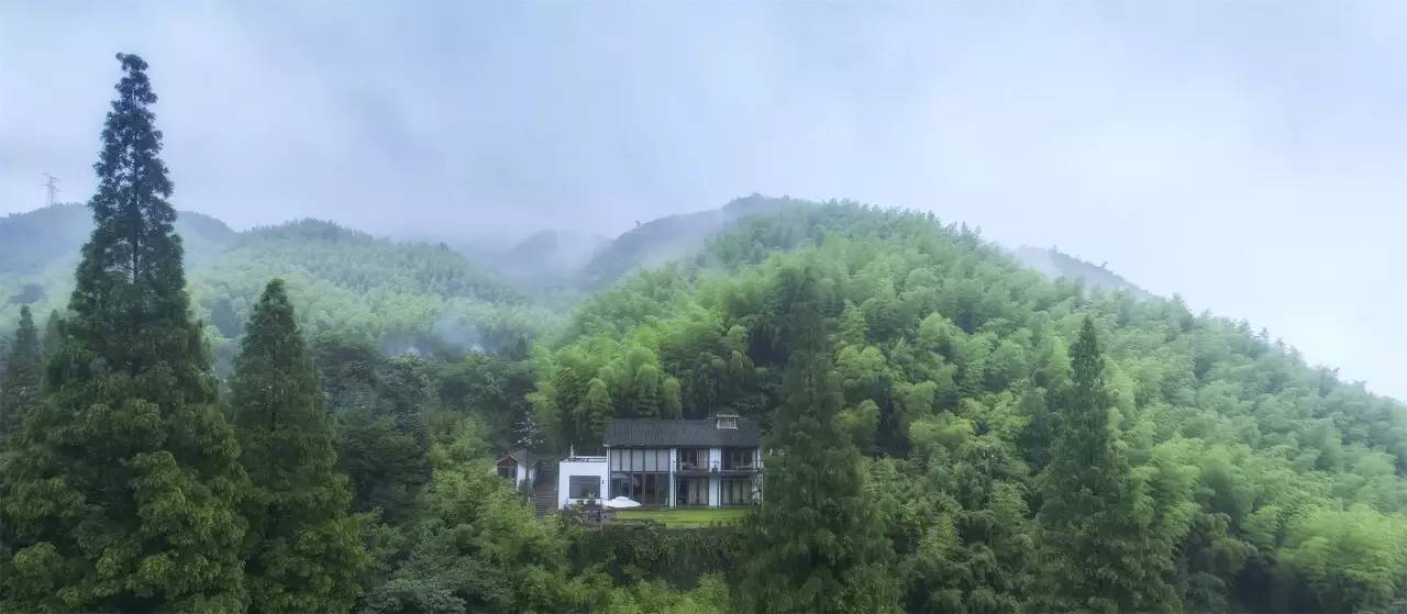 大樂之野·谷舍，擁有一個詩意的世界