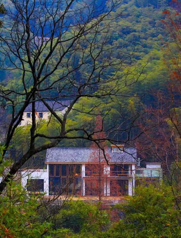 大樂之野·谷舍，擁有一個詩意的世界