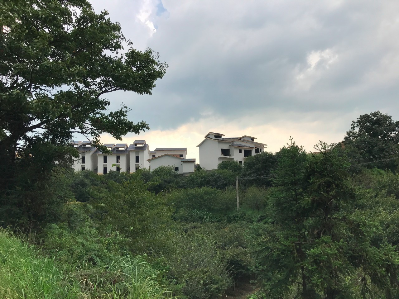 大樂之野·谷舍，擁有一個詩意的世界