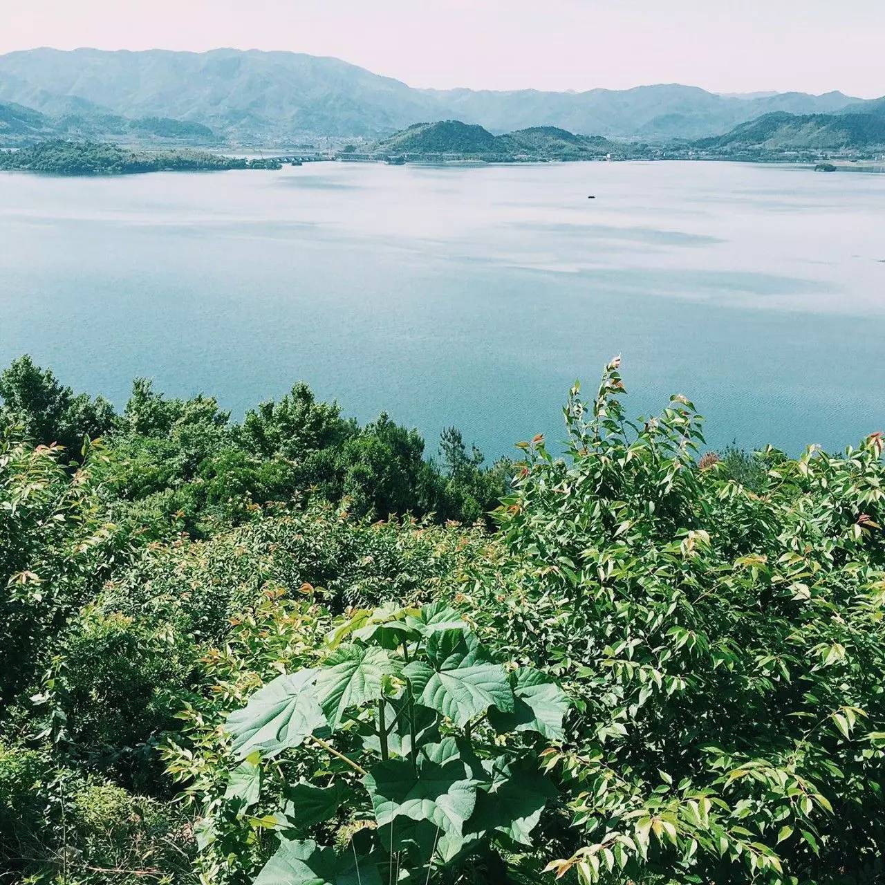 大樂之野·谷舍，擁有一個詩意的世界