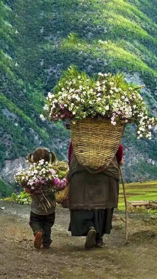 天空之城南杉藝術(shù)酒店，在月光之城尋找探索