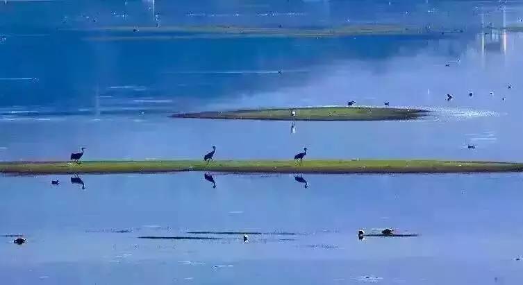 天空之城南杉藝術(shù)酒店，在月光之城尋找探索