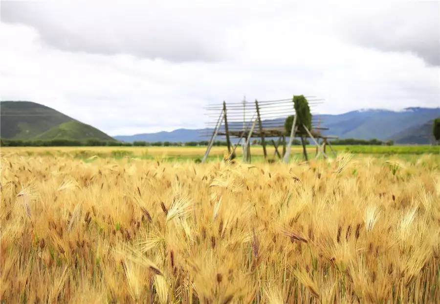 天空之城南杉藝術(shù)酒店，在月光之城尋找探索