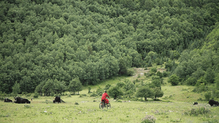 天空之城南杉藝術(shù)酒店，在月光之城尋找探索