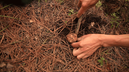 天空之城南杉藝術(shù)酒店，在月光之城尋找探索