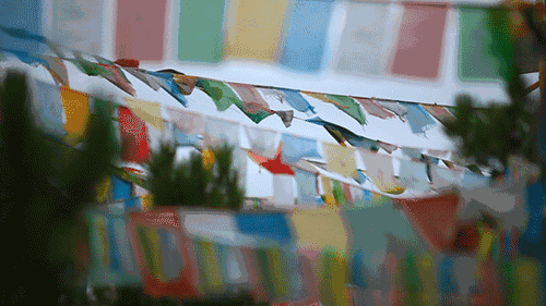 天空之城南杉藝術(shù)酒店，在月光之城尋找探索