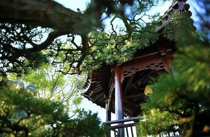 大美江南·蘇洲府，生長在姑蘇古城的園子