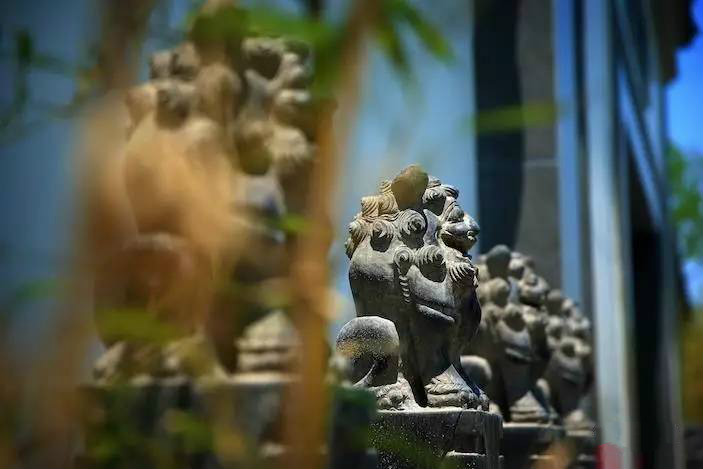 大美江南·蘇洲府，生長在姑蘇古城的園子