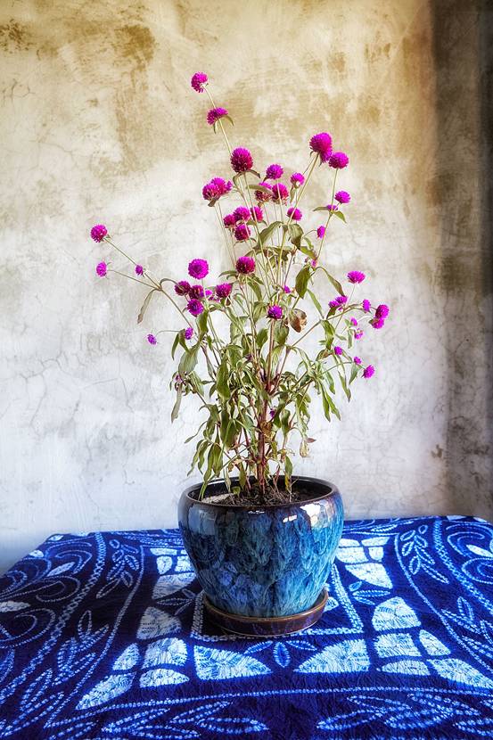 古一私邸，在大理洱海風花雪月演繹痛快人生