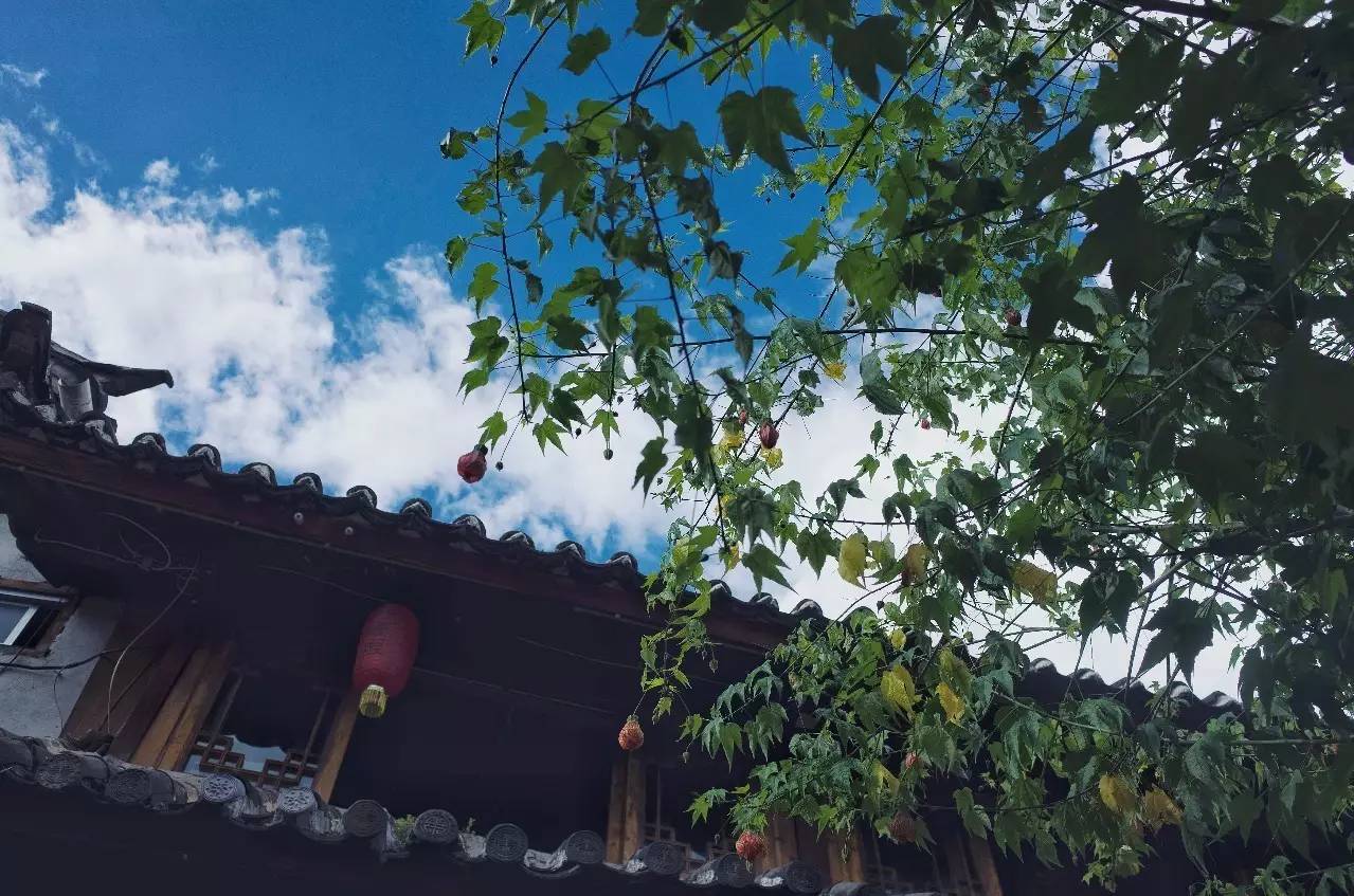 文殊·林舍，在麗江古城過著獨(dú)一無二的小日子