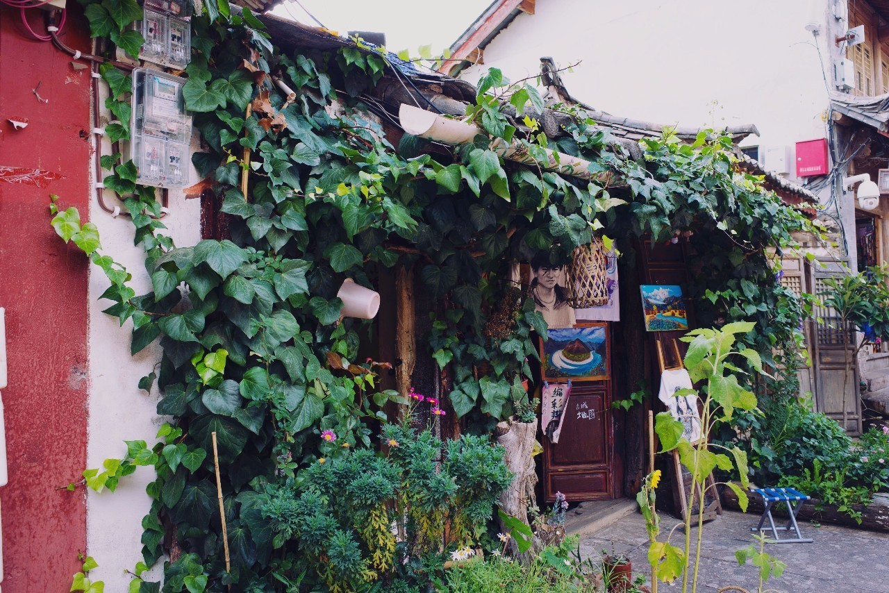 文殊·林舍，在麗江古城過著獨一無二的小日子