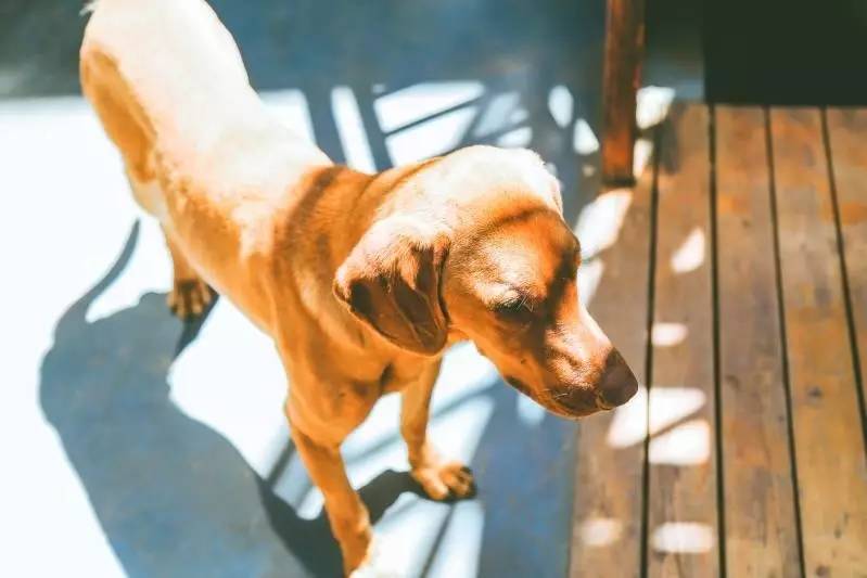 文殊·林舍，在麗江古城過著獨(dú)一無(wú)二的小日子