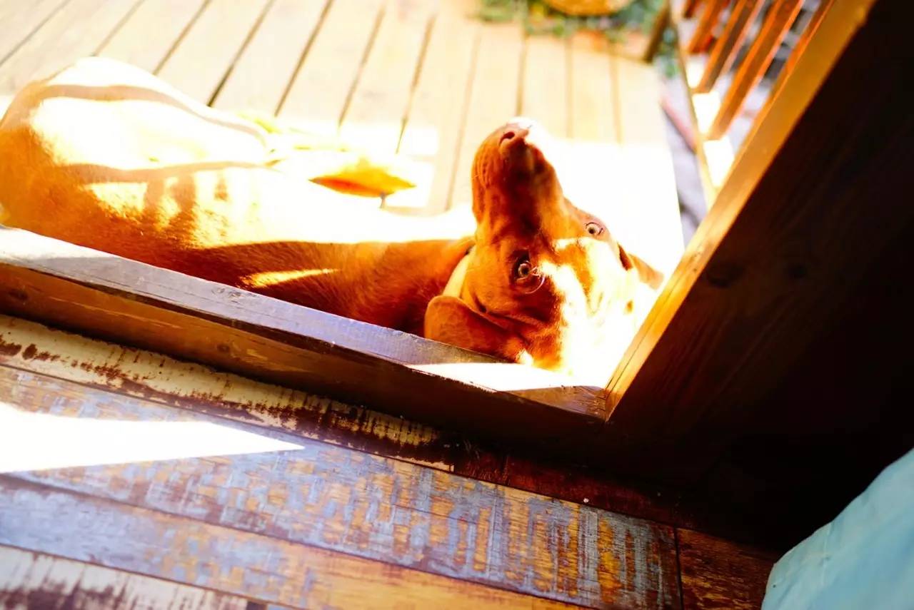 文殊·林舍，在麗江古城過著獨(dú)一無(wú)二的小日子